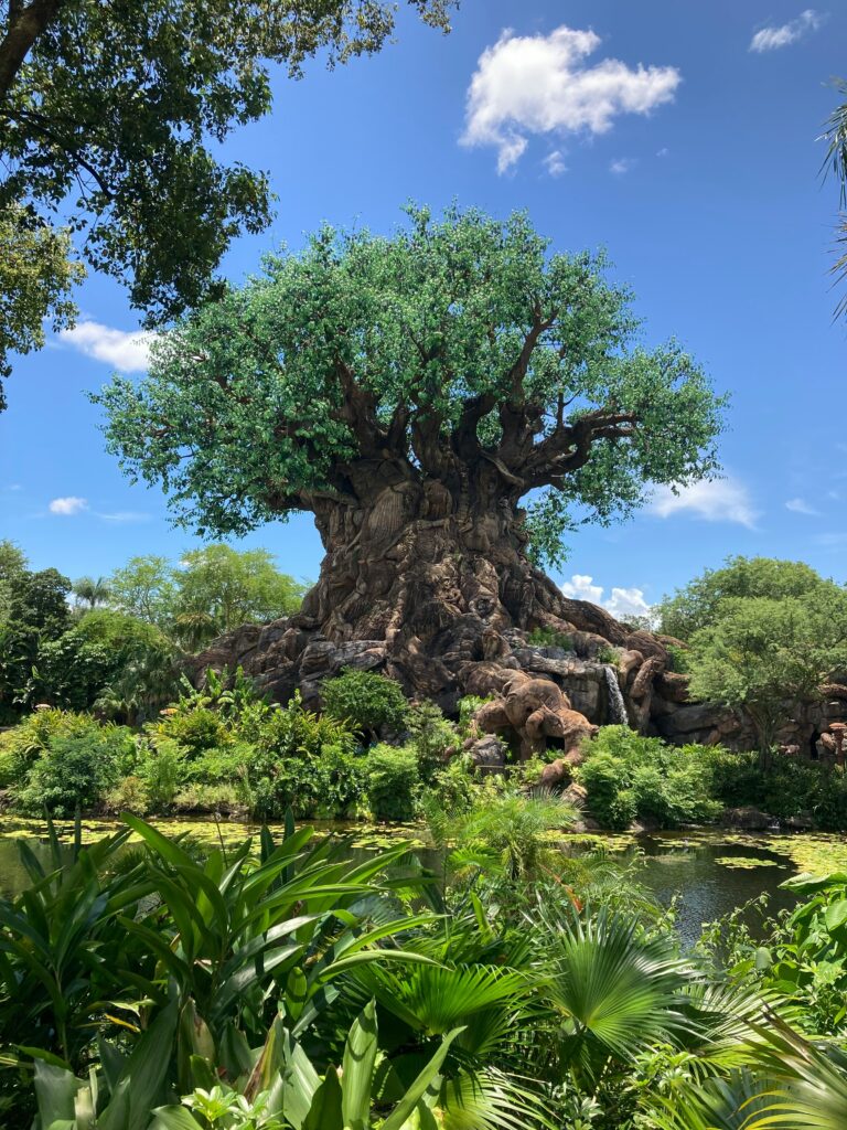 beautiful Tree of Life at Animal Kingdom