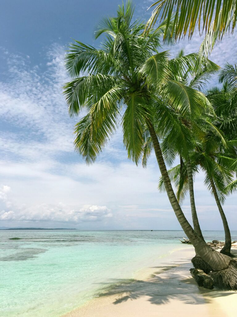 beautiful beach with white sand blue water blue sky green palm trees