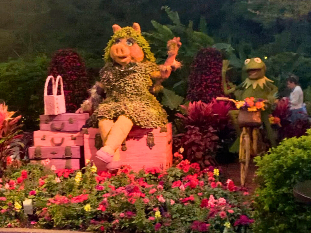 Miss Piggy and Kermit the Frog topiaries at the Flower and Garden Festival. Miss Piggy waves and sits atop suitcases while Kermit waves while riding a bike.