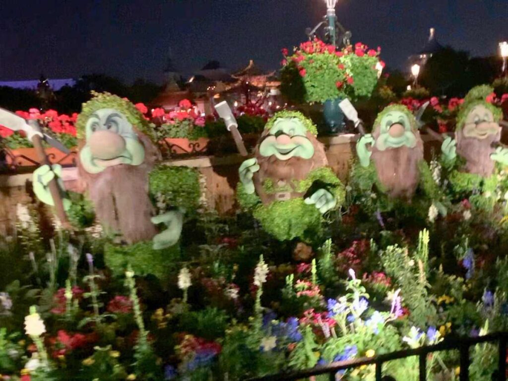 The Seven Dwarves topiaries at EPCOT. Six dwarves are pictured here together, and Dopey is with Snow White at the flower bed located across from this one.