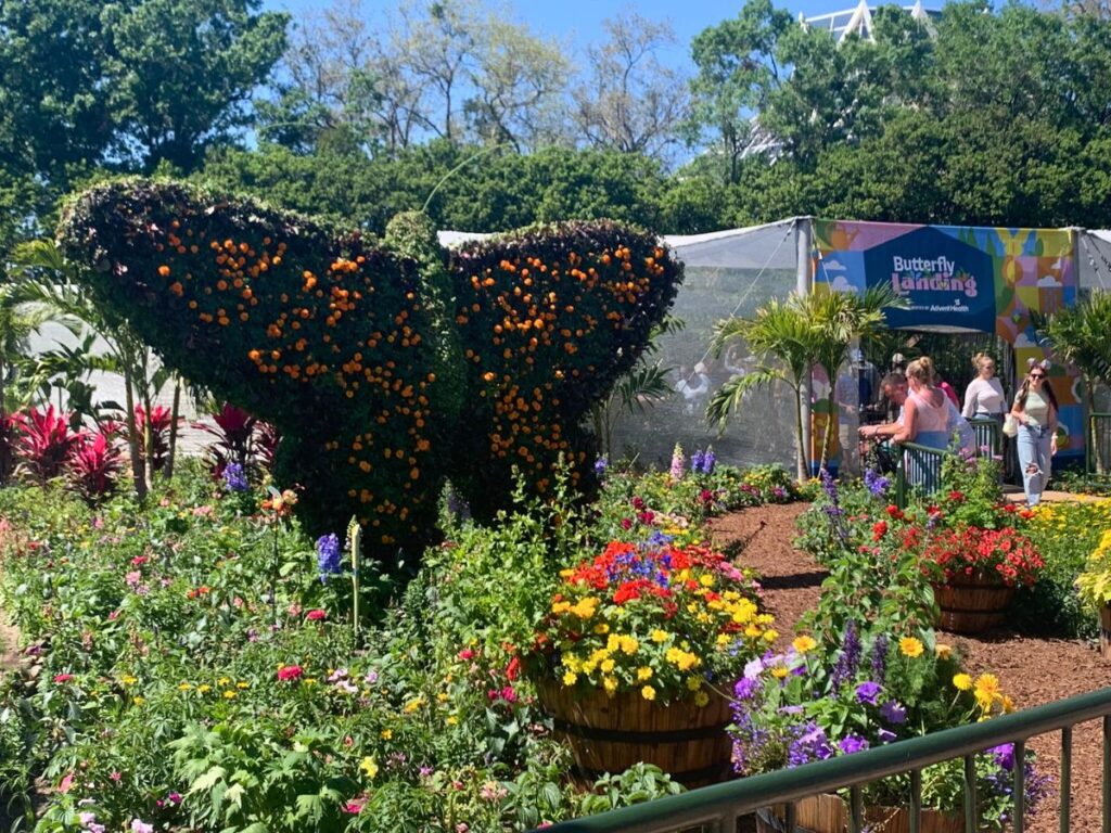 An orange and green butterfly topiary found outside of the Butterfly Tent